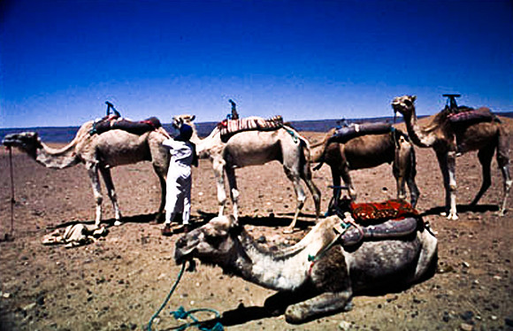 3194_SL_COLOR_TAMGROUTE_DUNES_MAROCCO_II_1998_11