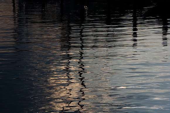 36145_DG_Color_USA_South_Beach_FL_Related_GroupZV4N4389