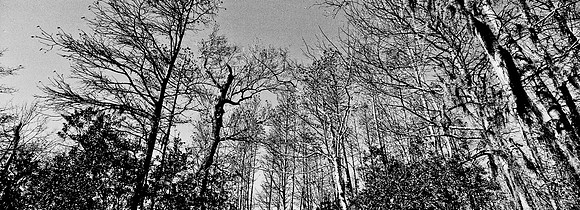 7749_FL_BW_LOUISIANA_01_16.jpg