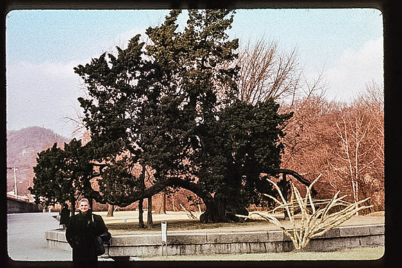 1988_Korea_209
