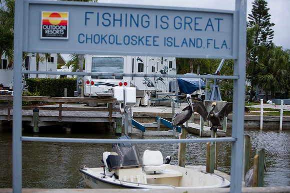85538_20080323-ZV4N8032_Miami_To_Sanibel_Island_Florida_Everglades_FL_USA