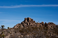 36377_DG_COLOR_JOSHUA_TREE_NATL_PARK_29_PALMS_CALIFORNIA_CA_USA_2007_ZV4N_1315