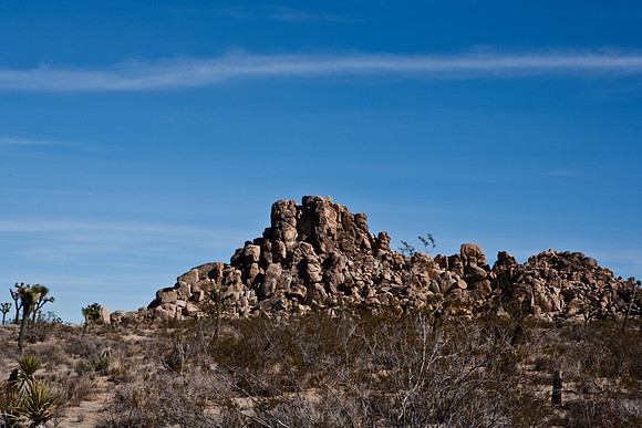 36377_DG_COLOR_JOSHUA_TREE_NATL_PARK_29_PALMS_CALIFORNIA_CA_USA_2007_ZV4N_1315