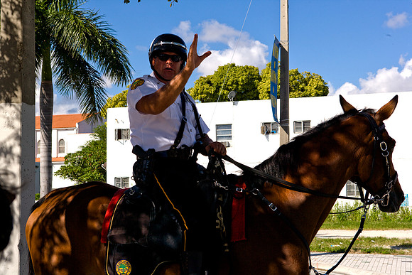 84782_ZV4N8184_FL_Miami_USA