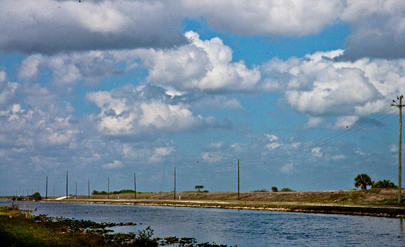 2527_EVERGLADES_MIAMI_FLORIDA_AOM_20090315__A0M1189