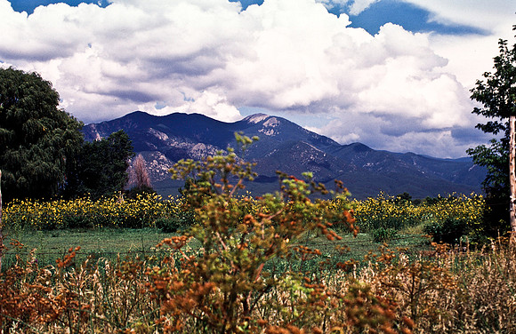 37866_B15_SL_COLOR_TAOS_NM_97_08.jpg