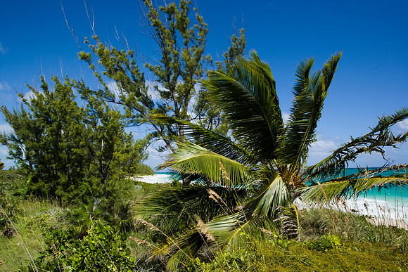 36168_DG_Color_USA_Harbour_Island_Bahamas_Related_GroupZV4N2061
