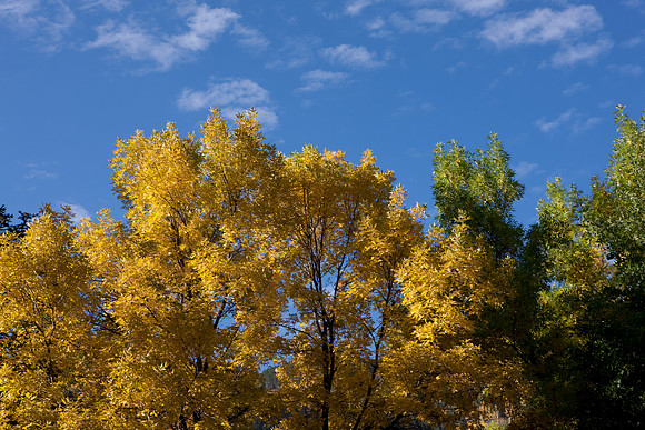 20080829_DVD15_DG_USA_Aspen_2309_full_blead