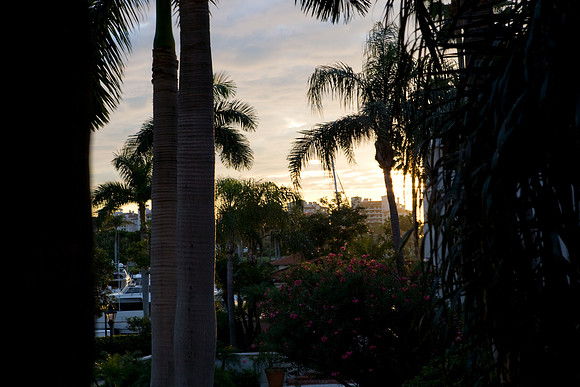 URBAN LANDSCAPE