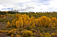 200828_DVD12_DG_USA_Aspen_1612_full_blead