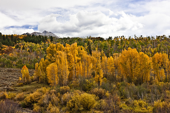 200828_DVD12_DG_USA_Aspen_1612_full_blead