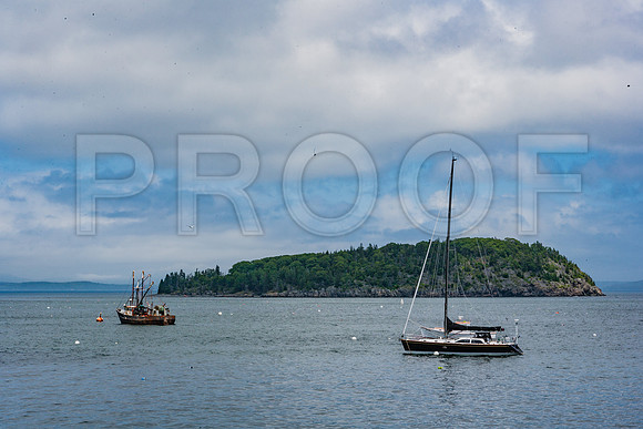 20060628_Maine_ZV4N1072