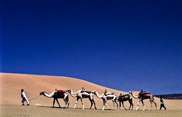 3192_SL_COLOR_TAMGROUTE_DUNES_MAROCCO_II_1998_7