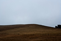 06588_ZV4N_3697_DG_COLOR_BODEGA_BAY_CALIFORNIA_Hitchcock_The_Birds_CALIFORNIA_CA_USA_2007