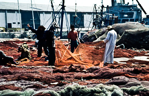 3237_SL_COLOR_TAROUDANNT_MAROCCO_II_1998_9