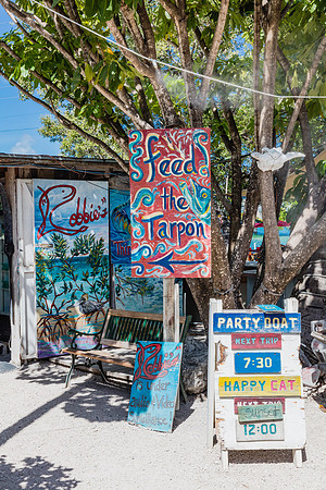 20160711_Key_West_Matecumbe__75A0199
