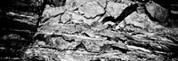 7569_FM_BW_XPAND_ARIZONA_01_4.jpg