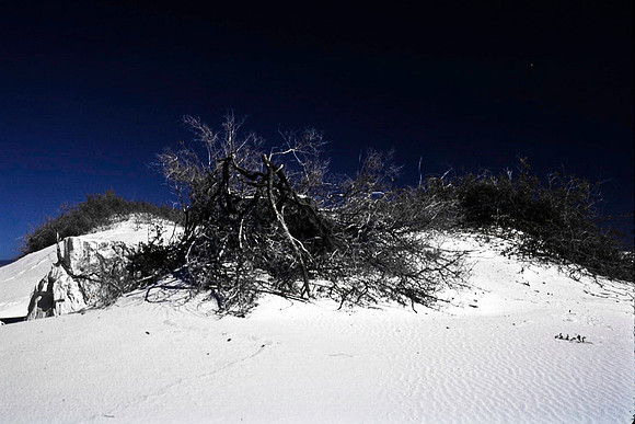 47895_B16_SL_COLOR_LA_MESILLA0_TO_WHITE_SOUNDS_NAT_MNY_HWY20_NM_97_3919.jpg