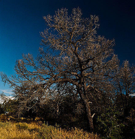 6119_FM_COLOR_GRAND_CANYON_AZ_05_7.jpg