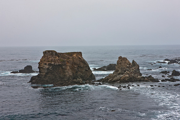 5L8Y0442