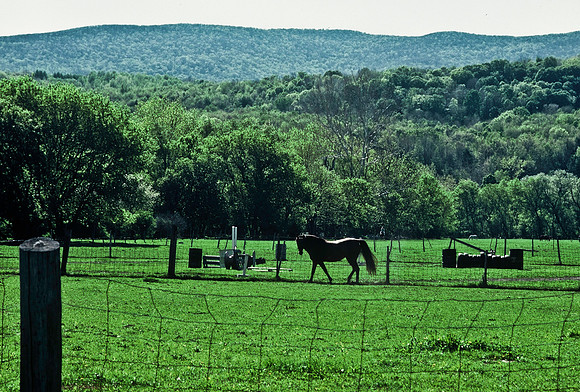 64037_B1_SL_COLOR_UP STATE_NY_86_16.jpg
