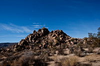 36377_DG_COLOR_JOSHUA_TREE_NATL_PARK_29_PALMS_CALIFORNIA_CA_USA_2007_ZV4N_1321