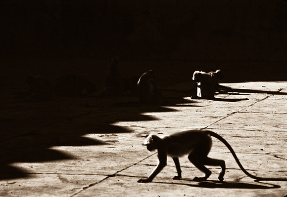 47282_SL_COLOR_INDIA_1987