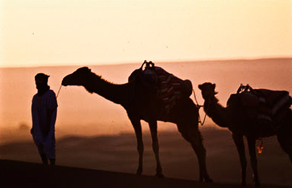 3203_SL_COLOR_MERZOUGA_SHAHARA_MAROCCO_II_1998_18