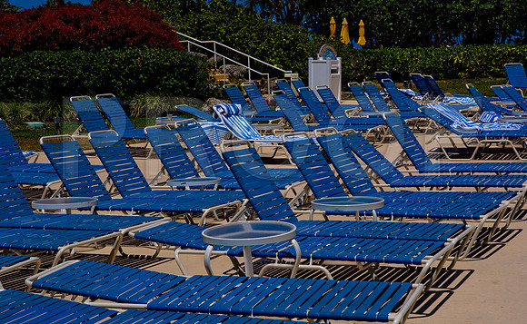 36181_DG_Color_USA_Miami_FL_Related_GroupZV4N9565