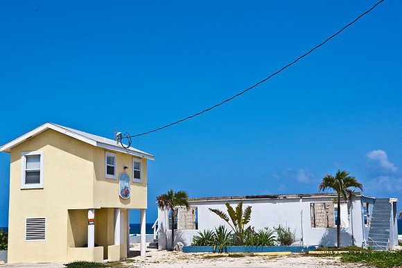 3876_DG_Cayman_Island_Caribbean_ZV4N0438