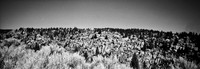 7569_FM_BW_XPAND_ARIZONA_01_6.jpg