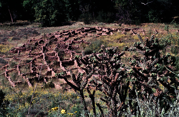 37873_B15_SL_COLOR_TAOS_TO_EMBUDA_TO_BANDELIER_NM_97_06.jpg