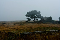 06590_ZV4N_2642_DG_COLOR_MENDOCINO_CALIFORNIA_CA_USA_2007_USA