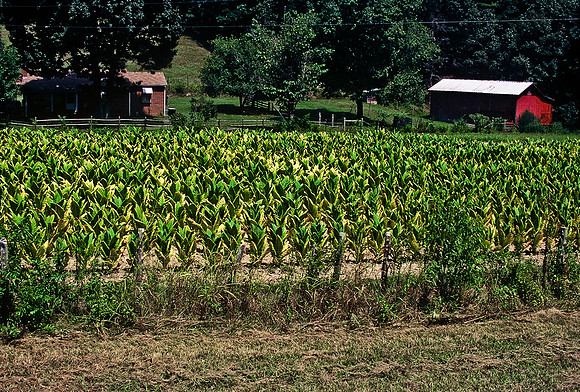47420_B4_SL_COLOR_US_TOUR_NC_GA_97_09.jpg