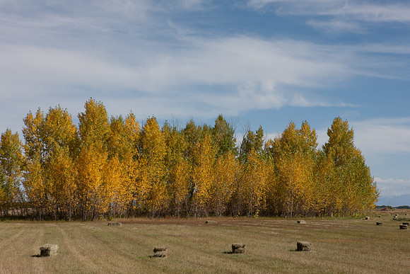 0019_Aspen_To_Jackson_Hole_Wyoming_5L8Y6754