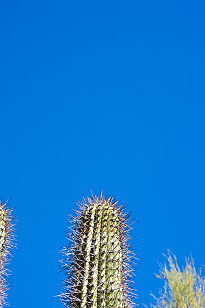 0031_La_Arizona_5L8Y5277