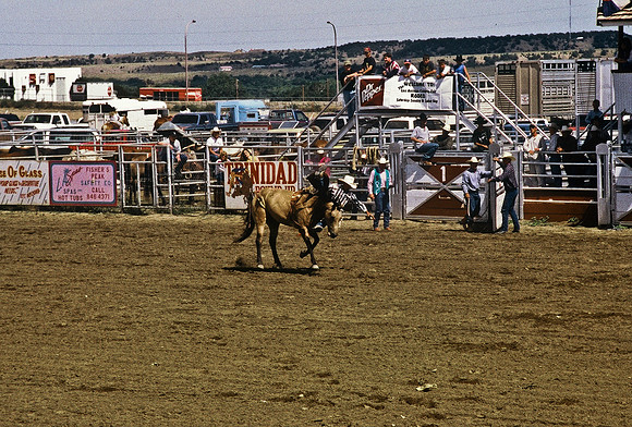 47492_B6_SL_COLOR_TRINIDAD_RODEO_CO_97_16.jpg