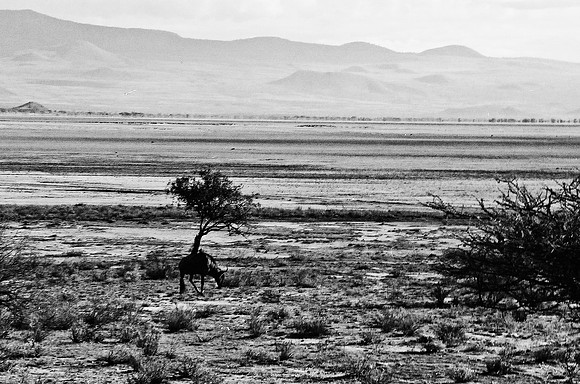 B3_82009_BW_194_New_Masai_Africa_89_12