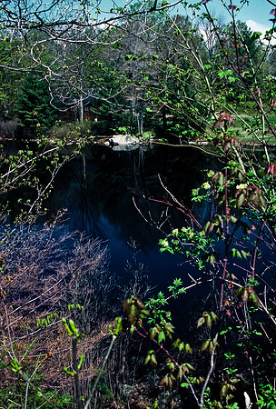 64037_B1_SL_COLOR_UP STATE_NY_86_01.jpg