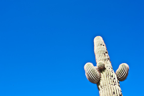 0031_La_Arizona_5L8Y5443