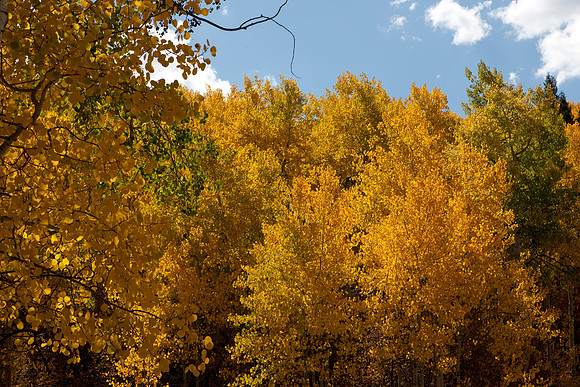 20080829_DVD15_DG_USA_Aspen_2126_full_blead