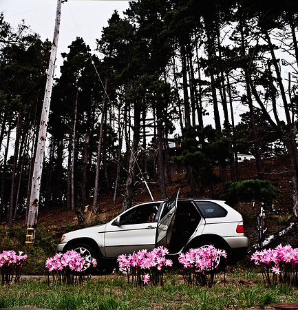 6041_FILM_COLOR_BODEGA_BAY_05_USA_CA_9.jpg