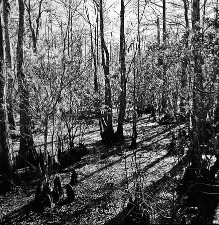 7747_FL_BW_LOUISIANA_01_6.jpg