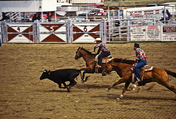 47490_B6_SL_COLOR_TRINIDAD_RODEO_CO_97_08.jpg