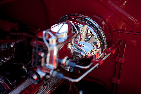 0026_DG_Mill_Valley_CA_USA_2009_5L8Y1889