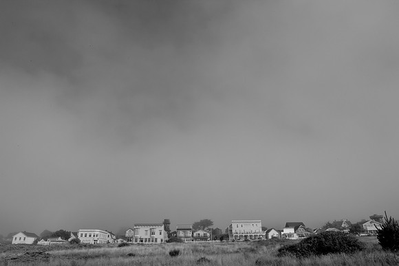 5L8Y0836
