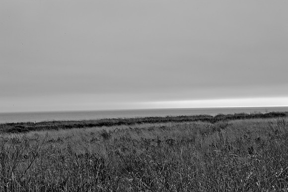 5L8Y0549