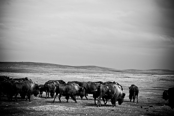 0044_North_Dacota_Fargo_to_South_Rapid_City_TO_CHEYENNE_5L8Y4178