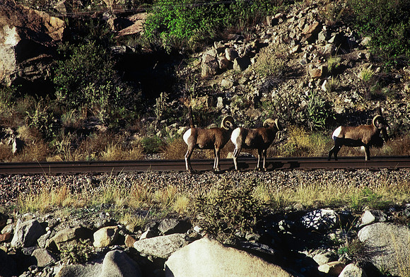 47437_B5_SL_COLOR_SALIDA_5_POINT_SPEEDING_COLORADO_WY_97_06.jpg