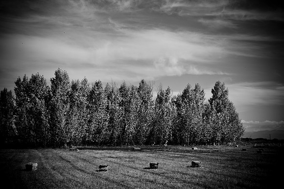 0019_Aspen_To_Jackson_Hole_Wyoming_5L8Y6751